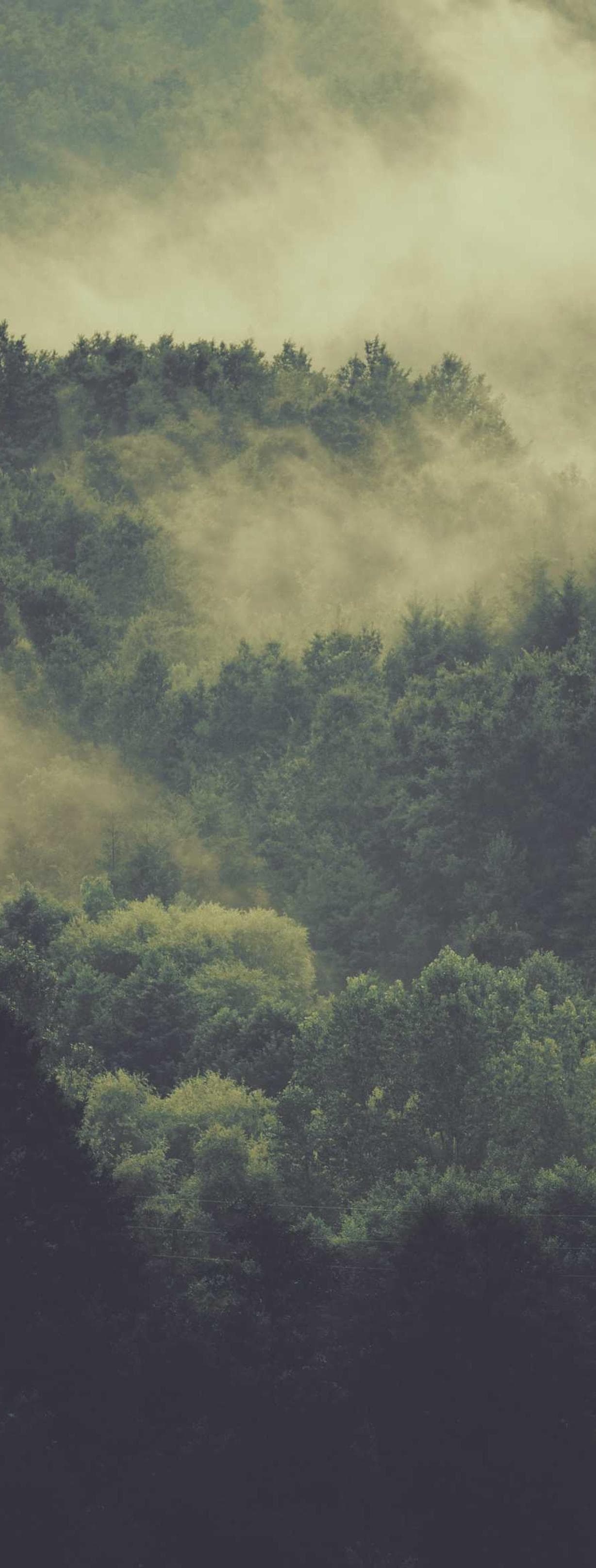 Adobe infrastructures