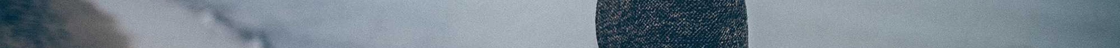 abbott, turcotte and balistreri