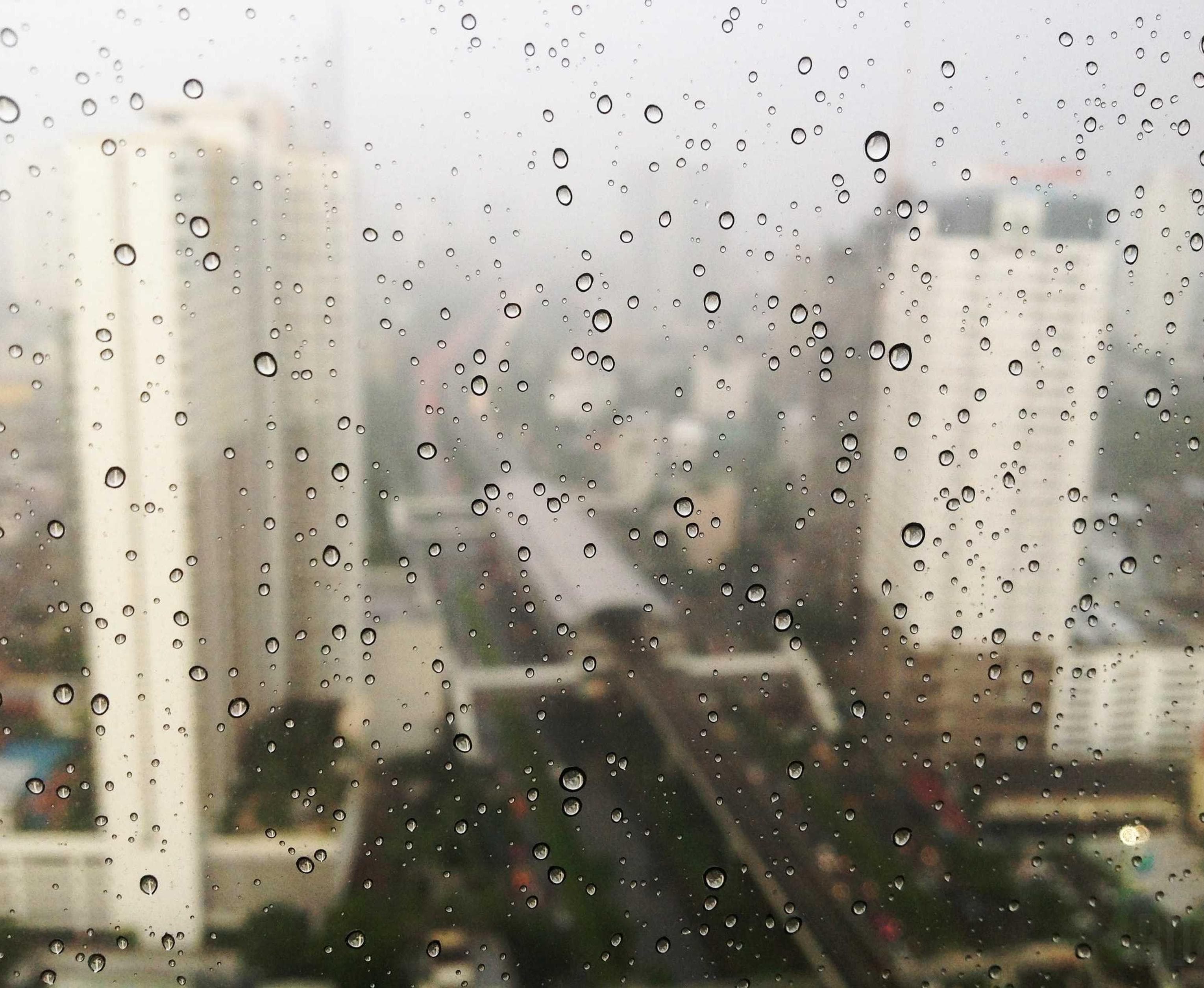 schneider - bechtelar